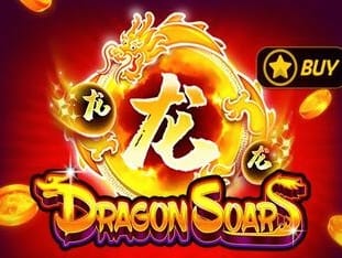 Dragon Soar banner